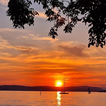 دايزندورف Studio Bodensee المظهر الخارجي الصورة