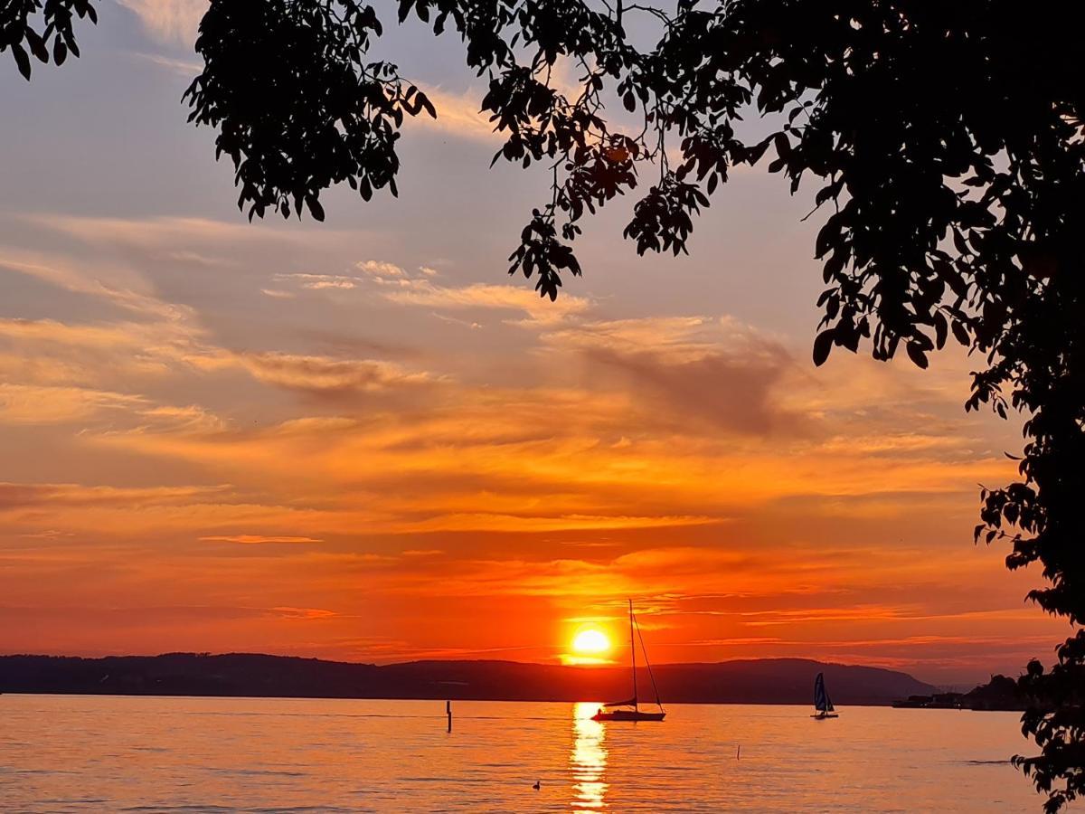 دايزندورف Studio Bodensee المظهر الخارجي الصورة