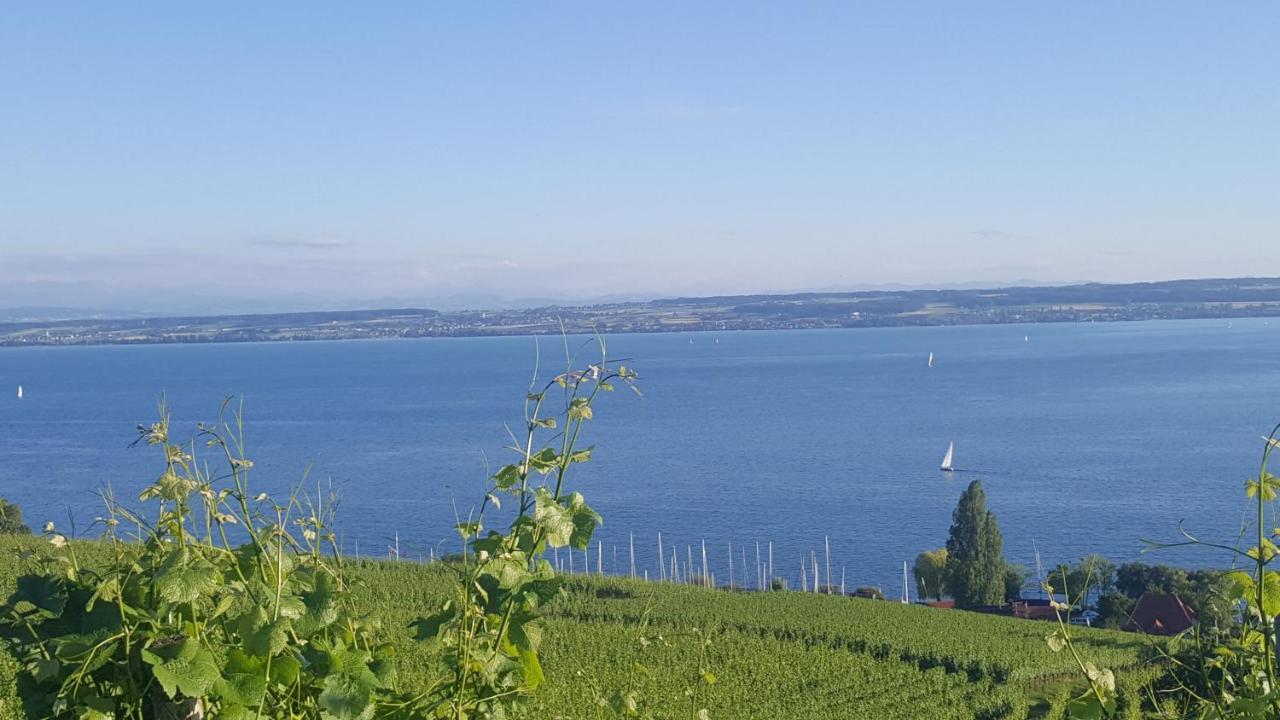 دايزندورف Studio Bodensee المظهر الخارجي الصورة